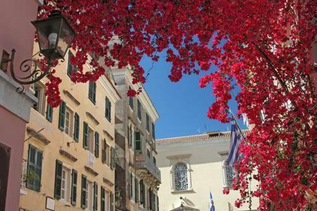 Leone Old Town Apartment Korfu Dış mekan fotoğraf